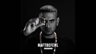 Haftbefehl feat Marteria  Ich Rolle Mit Meim Besten HQ  Lyrics [upl. by Seebeck]