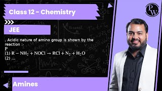 Acidic nature of amino group is shown by the reaction 1 RNH2NOCl→RClN2H2O 2 2 RNH [upl. by Chancey423]