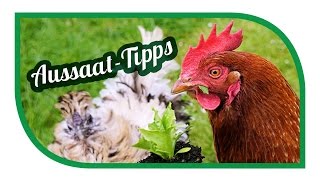 Aussaat amp Gartentipps im Mai 🌱 Gartenarbeiten im Mai 🌱 Jungpflanzenanzucht [upl. by Sipple]