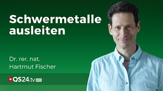 Schwermetallausleitung mit DMSO amp Chelattherapie  Dr rer nat Hartmut Fischer  QS24 [upl. by Yrelle]