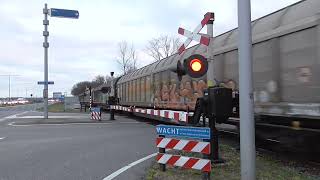 Spoorwegovergang Oss Passage a Niveau Railroad Level Crossing Bahnübergang [upl. by Ralleigh]