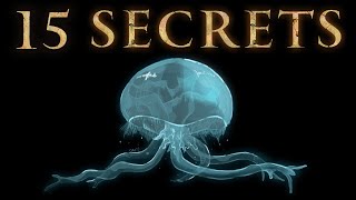 15 Mysterious Secrets in Elden Ring and Dark Souls [upl. by Avik]