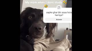 My mom when I dont study [upl. by Feetal]