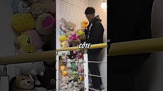 Mur de peluches une idée déco unique decoration kawaii peluche ideedeco diydecoration diy [upl. by Akili]