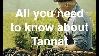 All you need to know about Tannat [upl. by Pittel411]