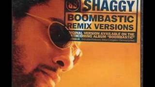 Shaggy  Boombastic Sting Remix [upl. by Kusin]