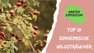 Top 10 einheimische Wildsträucher für den Naturgarten  Gartenexpediton [upl. by Ielerol]