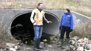 Challenges of culvert crossings and design in stream restoration projects [upl. by Robby]