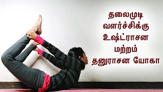 Ustrasana And Dhanurasana Yoga For Hairgrowth Tamil  ஆரோக்கியமான முடி வளர்ச்சிக்கு யோகா [upl. by Barnet994]