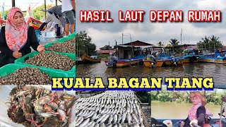 KUALA BAGAN TIANG HASIL LAUT MURAH amp SEGAR SIPUT BAYAMKETAM amp KERANG SEGAR JETI DEPAN RUMAH [upl. by Atsugua]