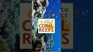 Happy Coral Reef Awareness Week 🌊 [upl. by Londoner729]