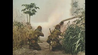 Japanese Army vs Killer Crocodiles 1945 [upl. by Winn]