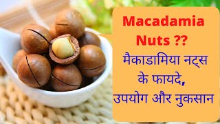 macadamia nuts in hindi  macadamia nuts ke fayde  macadamia nuts Kya hota hai [upl. by Eniamej483]