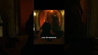 Werewolves provoke in vampire territoryshorts story viralvideo [upl. by Auqinom]