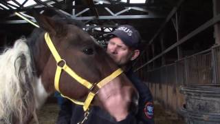 Neglected Horses Rescued in Tennessee [upl. by Tania]