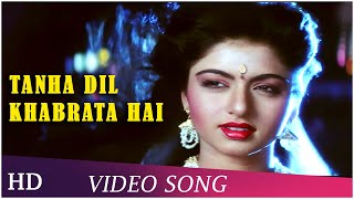 Tanha Dil Ghabrata Hai  Tyagi 1992  Bhagyashree  Himalaya  Bappi Lahiri Hits  Hindi Songs [upl. by Ellene]