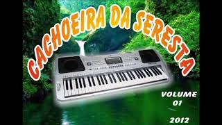 Cachoeira Da Seresta Vol1 2012 [upl. by Topliffe]