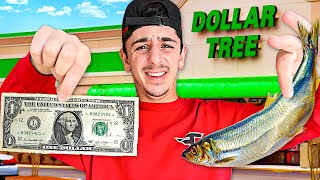 Eating ONLY Dollar Store Food for 24 HOURS [upl. by Aliehs]