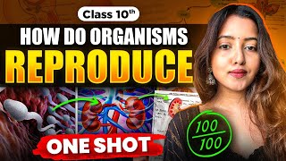 CLASS 10 HOW DO ORGANISMS REPRODUCE  BIOLOGY CLASS 10  SHUBHAM PATHAK science cbseclass10 bio [upl. by Anirbus316]