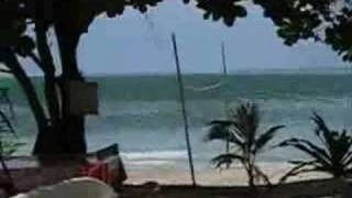 tsunami wave earthquake at sri lanka [upl. by Albric]