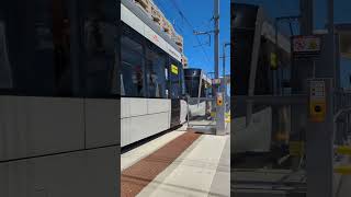 TTCMetrolinx Flexity Freedom LRV Training On Line 5 ttc toronto transit lightrail [upl. by Birch879]