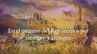 BEDEREJ HAMELEJ  En el camino del rey  Yaakov Shwekey [upl. by Garold]