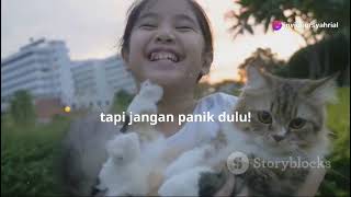 Toxoplasma pada kucing 2 [upl. by Nnairahs127]