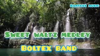 Live Band Sweet WaltzMedleyBoltex [upl. by Davita416]