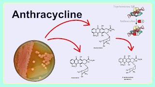 anthracycline [upl. by Schaeffer471]