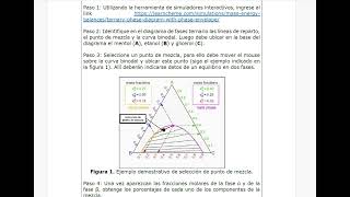 Paso 3 – Equilibrio de Fases [upl. by Rehotsirhc]