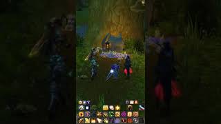 Schweigeminute für Ibelin  World of Warcraft The War Within  ritterelch auf Twitch [upl. by Amikahs]