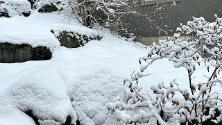 Snow at Eagle Mountain Abbotsford BC Canada [upl. by Lillie484]