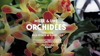 Mille amp une orchidées 2019 [upl. by Kata]