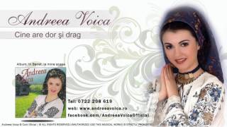 Andreea Voica  Cine are dor si drag [upl. by Ycrep]