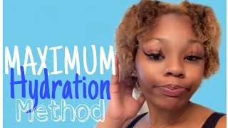 MAXIMUM HYDRATION METHODDEFINED MY 4C CURLS [upl. by Schramke]