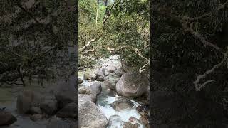 Mossman Gorge [upl. by Ardnoel]