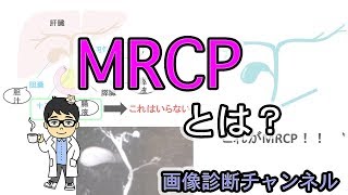 医療用語のMRCPとは？図を用いてわかりやすく解説！ [upl. by Hoskinson]