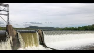 Fish lift helps up to 500000 migrating fish cross the Holyoke River Dam [upl. by Xineohp]