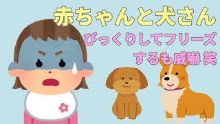 【2chほのぼの】犬さんに吠えられるも威嚇w【まとめ】 [upl. by Eneloc167]