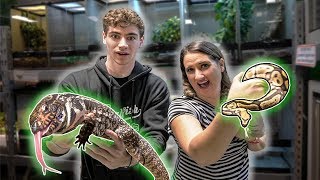 EXOTIC PET STORE TOUR  Fish Reptiles amp Birds [upl. by Anaiv799]