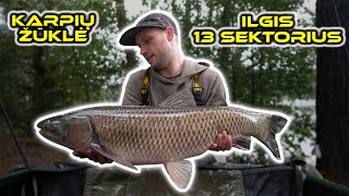 Karpių žvejyba Ilgis  13 sektorius Carp Fishing  Ilgis lake [upl. by Alic701]