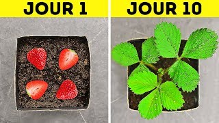 31 CONSEILS INCONTOURNABLES POUR TON JARDIN [upl. by Mali]