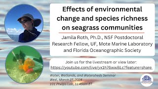 W3 seminar Effects of environmental change and species richness on seagrass communities [upl. by Adnor]