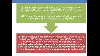 GLUCURONIDATION [upl. by Neile]