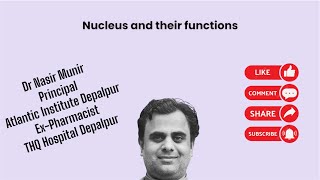 Nucleus and functions of Nucleus [upl. by Debarath]