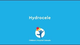 What is Hydrocele Surgery [upl. by Mylander34]