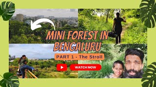 PART 1  MINI FOREST SECRET IN BENGALURU CITY  THE STROLL  BIRD WATCHING  NATURE WALK [upl. by Nerot314]