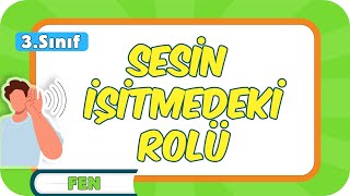 Sesin İşitmedeki Rolü📗 3Sınıf Fen 2024 [upl. by Alhahs700]