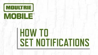 How To Set Notifications In The Moultrie Mobile App [upl. by Nagaem318]