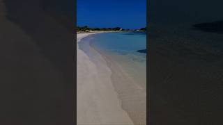 nature aruba youtubeshorts viralvideo 🇦🇼🌺💙 [upl. by Won24]